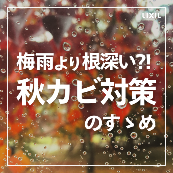 【オススメ！】梅雨より根深い?!秋カビ対策のすゝめ